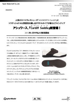 アシュワース、『Cardiff Saddle 』新登場！