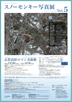 PDFファイル - 櫃本康孝写真館