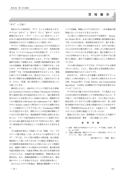 &ldquo;サブ&rdquo;って何？