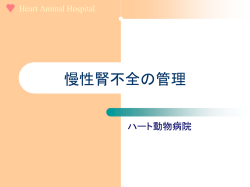 慢性腎不全の管理 - ハート 動物病院