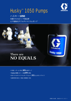 344801JA, Husky 1050 Pumps