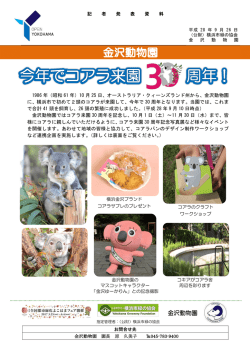 2016.09.26 今年でコアラ来園30周年！