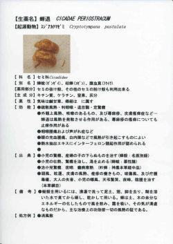 【生薬名】蝉退 夕 3総足 PER,体用物財 【注己湖衰要力韓勿】スシ Sア