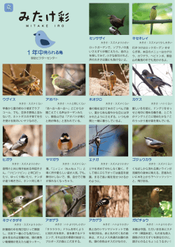 鳥のパンフレット（PDF）