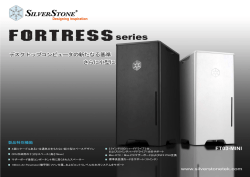 FT03-MINI - SilverStone