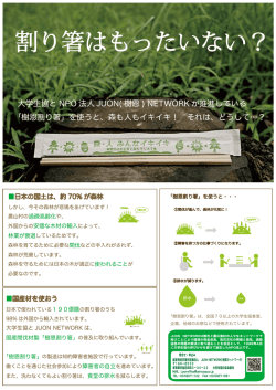 樹恩割り箸
