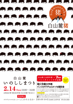 いのししまつり