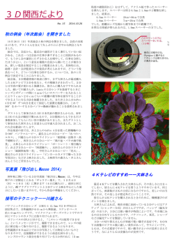 No.15 2014年10月26日