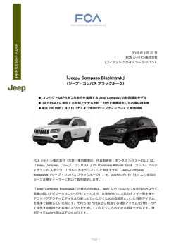 as PDF file