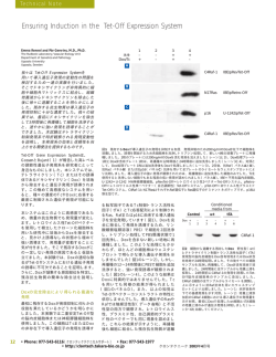 Ensuring Induction in the Tet-Off Expression System Tet
