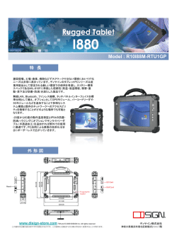 Model : R10I88M-RTU1GP