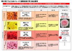 演出要項 - ザ よこはまパレード｜開港記念みなと祭 国際仮装行列