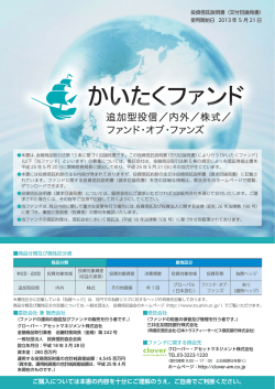 追加型投信／内外／株式／ ファンド・オブ・ファンズ