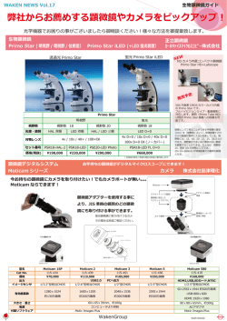 PDF ダウンロード