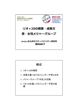 リオ＋20の概要・成果   書・  性メジャーグループ 構成