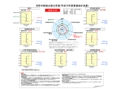 財政比較分析表〈PDF〉