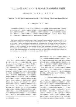 本文全体表示【PDF66KB】