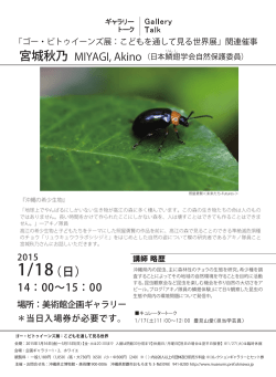チラシ（PDF） - 沖縄県立博物館・美術館