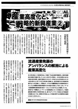 経済成長の構造的問題と 内壁語大戦略