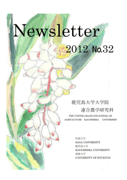 Newsletter September 2012 No.32