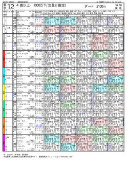 12R 目黒記念 競馬新聞PDF