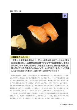 85．サケ 鮭 写真は七尾産海水面のサケ。正しい処置を施せば