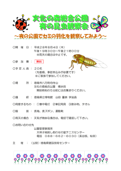 文化の森総合公園 文化の森総合公園 夜の昆虫観察会