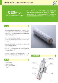CESタイプ
