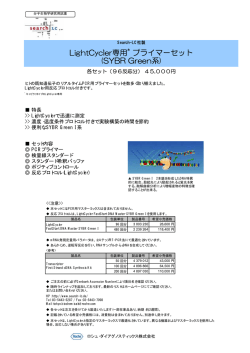 LightCycler専用 プライマーセット (SYBR Green系)