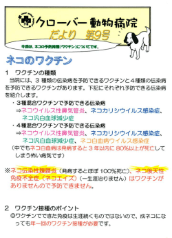 第9号≫ ネコの予防接種（ワクチン） について