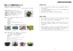 牛乳パックで季節の花をアレンジ