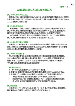 2 挿し木、挿し芽を楽しむ - league.bunka