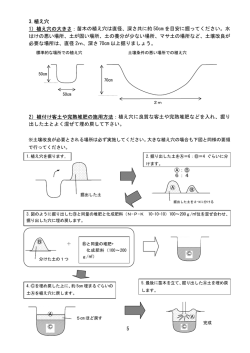 植え穴