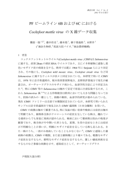 PF ビームライン 6B および 6C における Cocksfoot mottle virus