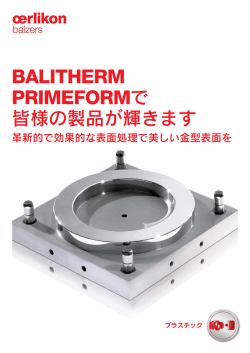 日本語 (546,18 KB , PDF-File)