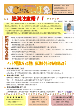 食事の量を間違えている 食事の質を間違えている 食事の回数を間違え