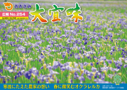 5月 - 大宜味村