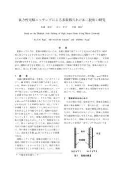 異方性電解エッチングによる多数個穴あけ加工技術の研究
