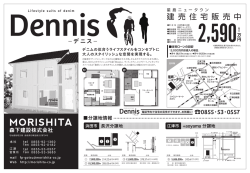 星島ﾆｭｰﾀｳﾝ建売住宅「Dennis」