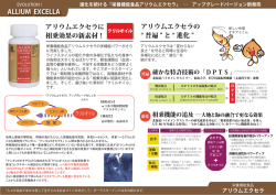 ALLIUM EXCELLA アリウムエクセラに 相乗効果の