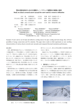 雪氷資源活用のための大規模スノーマウンド被覆材の実験と解析 Study