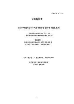 研究報告（PDF・110KB）