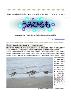 「海の生き物を守る会」メールマガジン No. 147 2014. 11. 16（日）