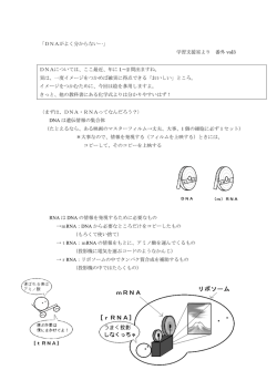 「DNAがよく分からない…」 学習支援室より 番外 vol3 DNAについては