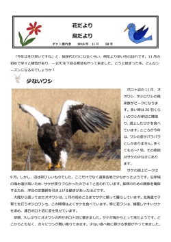 2016年11月号