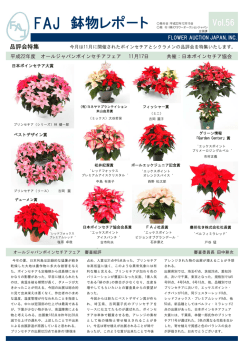 Vol.56 2010年12月15日発行 FAJ鉢物レポート1月
