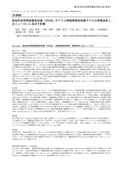 がマウス神経障害性疼痛モデルの脊髄後角二次ニューロンに及ぼす影響