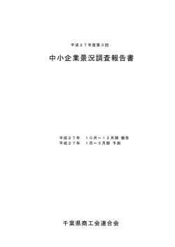 平成27年度 第3回 報告書