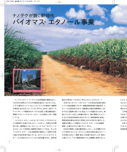 P.7 特集 (PDF 456KB)