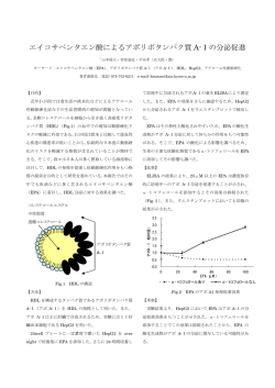 エイコサペンタエン酸によるアポリポタンパク質 A
